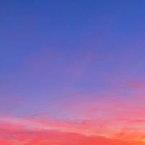 Meet your Posher, Mika